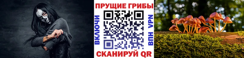 Галлюциногенные грибы прущие грибы Заречный